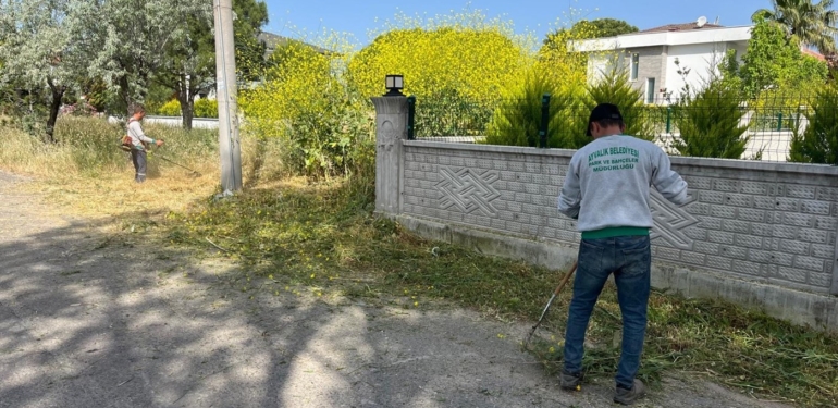 17163667571995020092