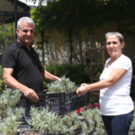 17163701041244586154