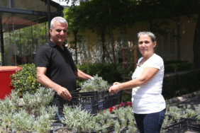 17163701041244586154