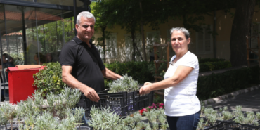 17163701041244586154