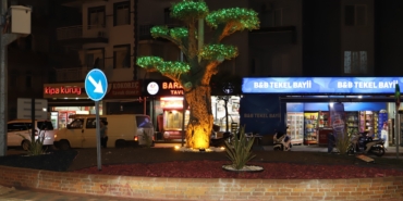 WhatsApp Image 2024-05-30 at 08.43.22