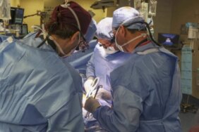 ABD'de domuz böbreği nakledilen 62 yaşındaki hasta hayatını kaybetti