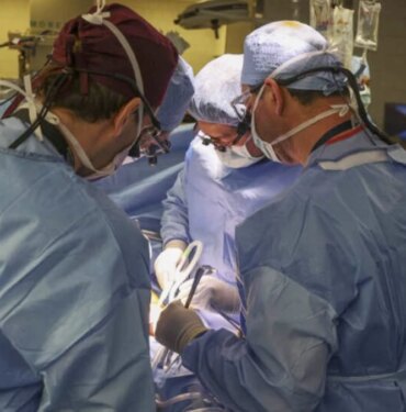 ABD'de domuz böbreği nakledilen 62 yaşındaki hasta hayatını kaybetti