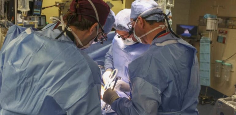 ABD'de domuz böbreği nakledilen 62 yaşındaki hasta hayatını kaybetti