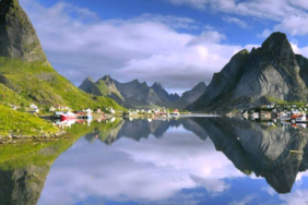 Bu ağaca dokunan herkes ölüyor