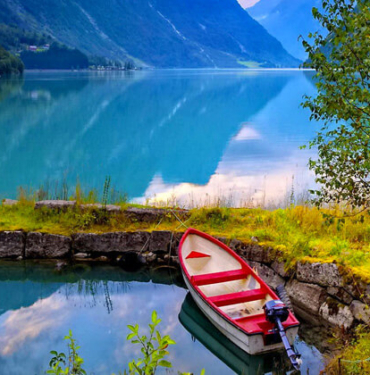 Bu aslan sizce ne yapıyor