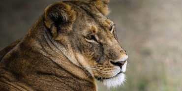 Bu balık türü dünyada sadece Burdur’da yaşıyor! Nesli tükenmek üzere