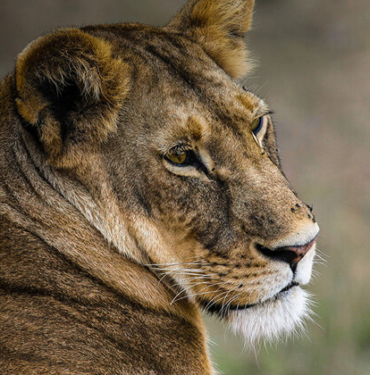Bu balık türü dünyada sadece Burdur’da yaşıyor! Nesli tükenmek üzere