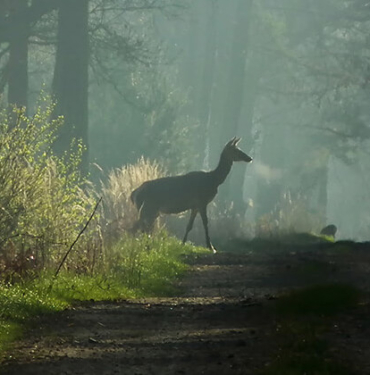 Bu tünelle 4 dakikada Bu tünelle 4 dakikada “iklim” değişecek