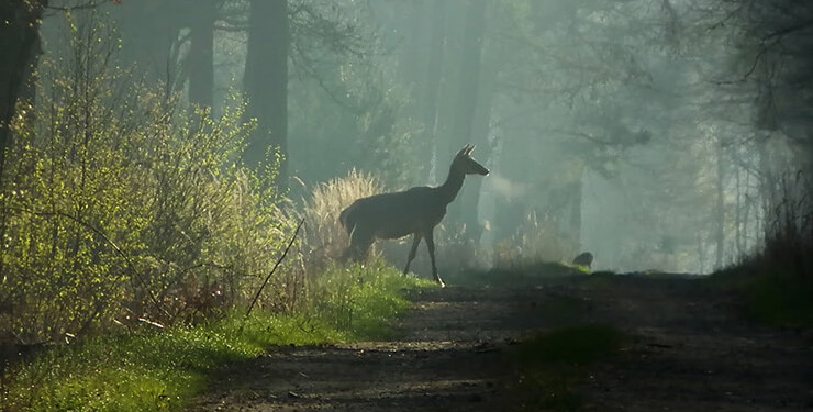 Bu tünelle 4 dakikada Bu tünelle 4 dakikada “iklim” değişecek
