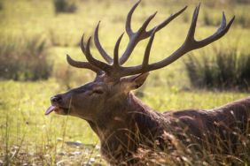 Deprem sırasında kayalar koptu, toz bulutu yükseldi