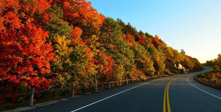 Eski nişanlısını öldürdü, 300 kilometre bagajda taşıdı
