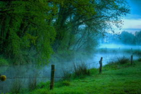 Hangi hayvan ne kadar yaşıyor?