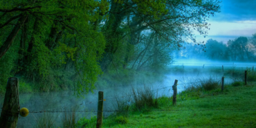Hangi hayvan ne kadar yaşıyor?
