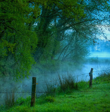 Hangi hayvan ne kadar yaşıyor?
