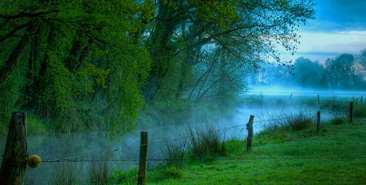 Hangi hayvan ne kadar yaşıyor?