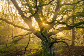 İkinci dalganın yaşandığı Bursa’da ölüm rakamları arttı