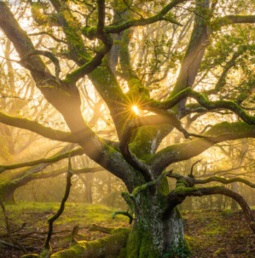 İkinci dalganın yaşandığı Bursa’da ölüm rakamları arttı