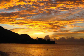 Küçük yavru annesi tarafından katledildi