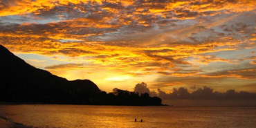 Küçük yavru annesi tarafından katledildi