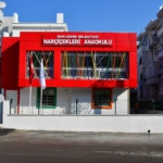 nar çiçekleri anaokulları (2)