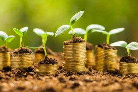 Reel Kesim Güven Endeksi açıklandı