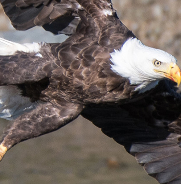Van’da dehşete düşüren olay! Tonlarcası kurtarıldı