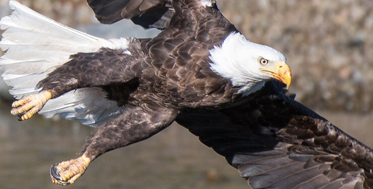 Van’da dehşete düşüren olay! Tonlarcası kurtarıldı