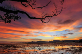 Yılın en çarpıcı astronomi fotoğrafları