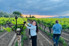 08a4ba50-046b-4d1b-b926-d0d5ef3d56c9