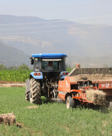 Büyükşehir Üretiyor Üreticinin Yüzü Gülüyor (2)