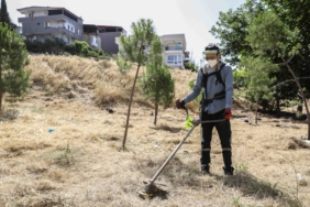 Kosa Çalışması 1
