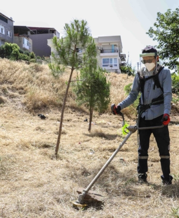 Kosa Çalışması 1