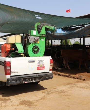 Kurban satış yerleri ve mezbahalarda ilaçlama çalışmaları tamamlandı (6)