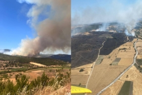 balikesir-de-tarim-arazisinde-yangin-mudahale-suruyor