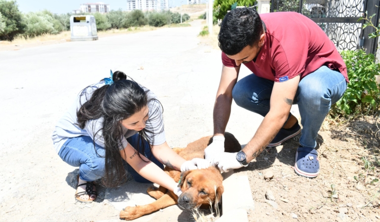 36ee33d5-6323-4ff9-90fb-eda46d7c92ea