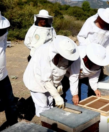 Bayraklı Belediyesinden yerel üreticiye kurs desteği (2)