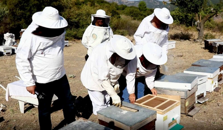 Bayraklı Belediyesinden yerel üreticiye kurs desteği (2)
