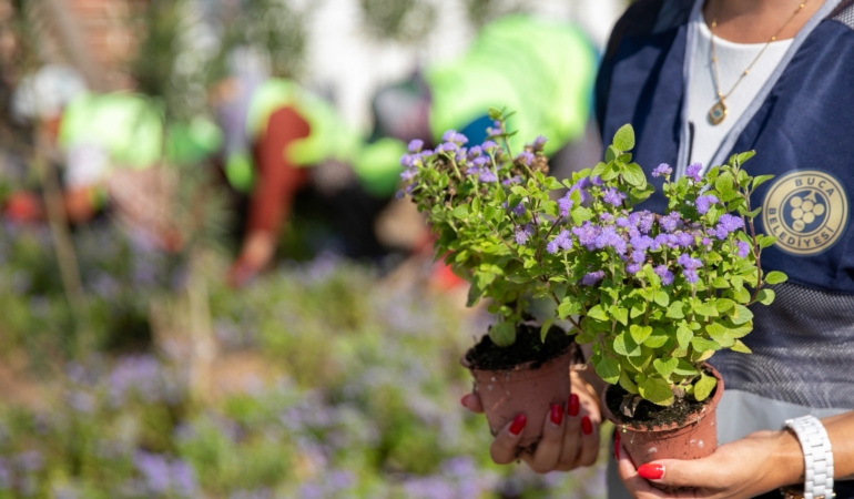 Buca Belediyesi Çiçek Dikimi 1