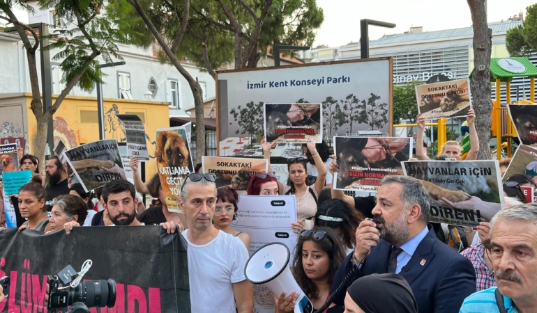Hayvan hakları eylem destek 3