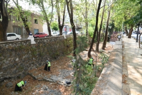 Tarihi dokuların güzergahında el işçiliğiyle temizlik yapıldı (8)