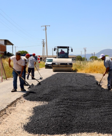 WhatsApp Image 2024-07-17 at 09.11.33 (3)