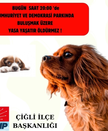 WhatsApp Image 2024-07-30 at 13.15.29