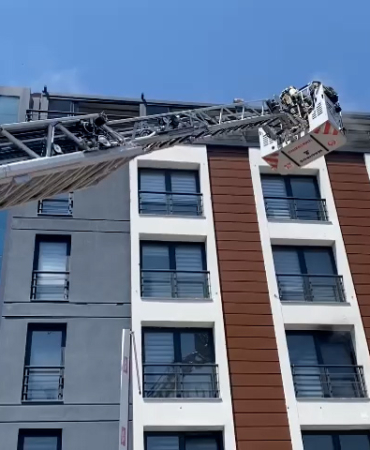 WhatsApp Video 2024-07-29 at 14.32.28.00_00_00_00.Still001