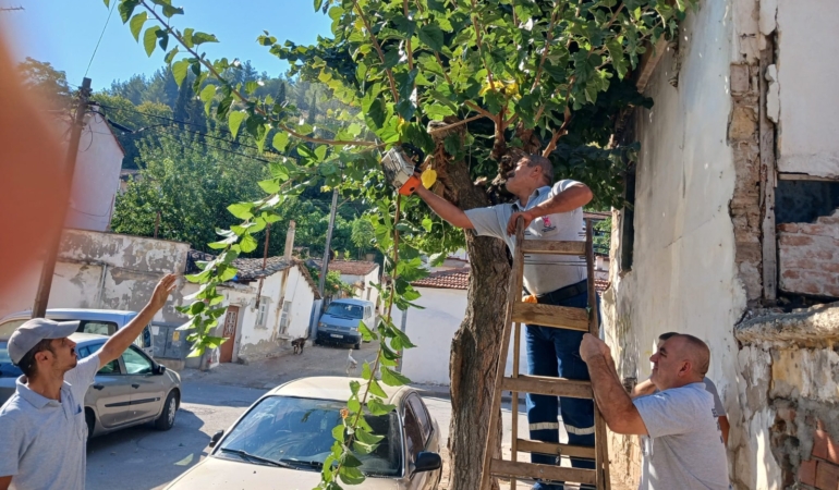 Daha Yeşil bir Şehzadeler için ekiplerden yoğun mesai