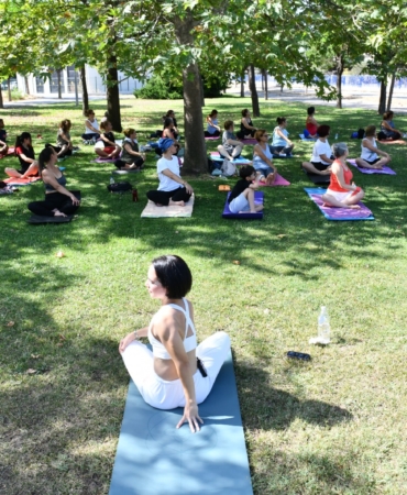 d7470c0c-9439-44d3-957b-cbf57b3f4f09