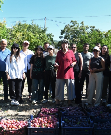 erik toplama destegi (7)