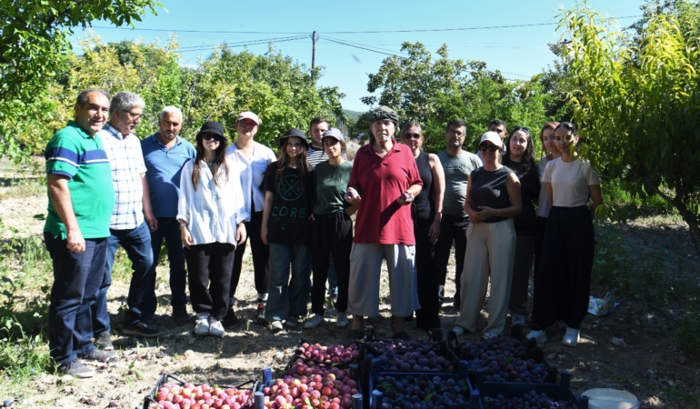 erik toplama destegi (7)