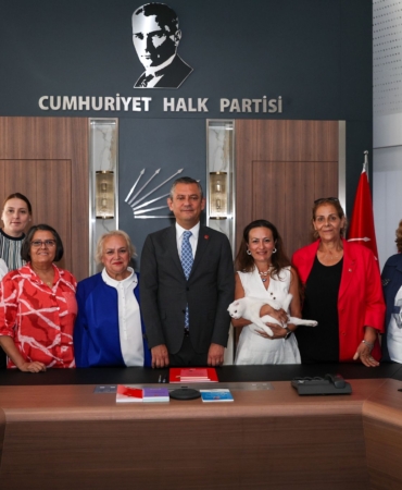 28323d24-00c7-420e-8063-62e3cd576bb7