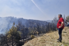 43236e3e-cf05-4e7e-9a1e-763a943e1a60